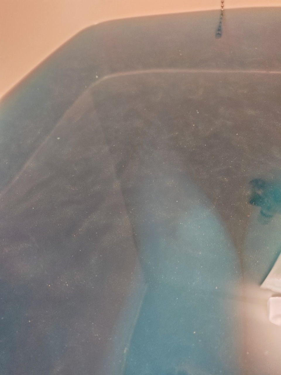 アップロード画像