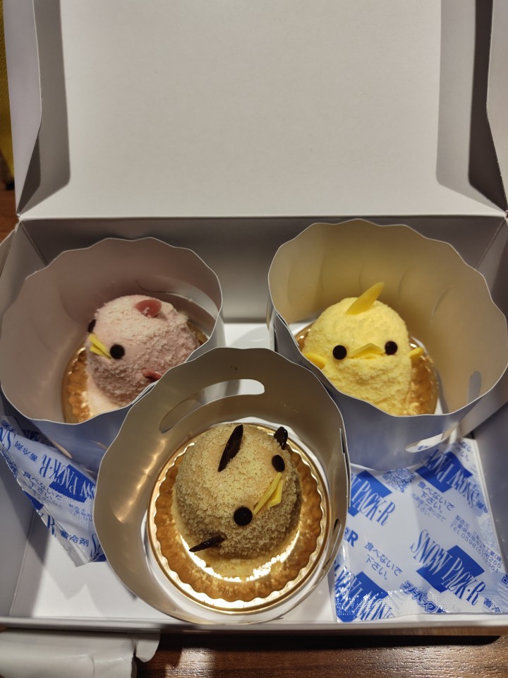 アップロード画像