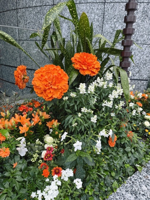 写メ