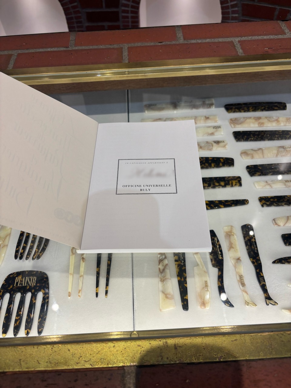 アップロード画像