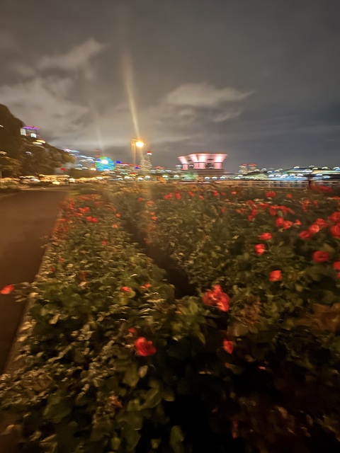 写メ
