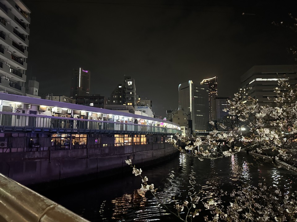 アップロード画像